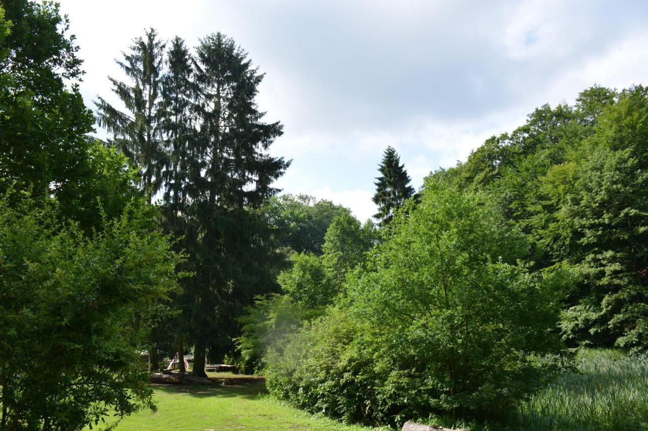 Bungalows Am Waldessaum Bei Hohenzieritz ภายนอก รูปภาพ