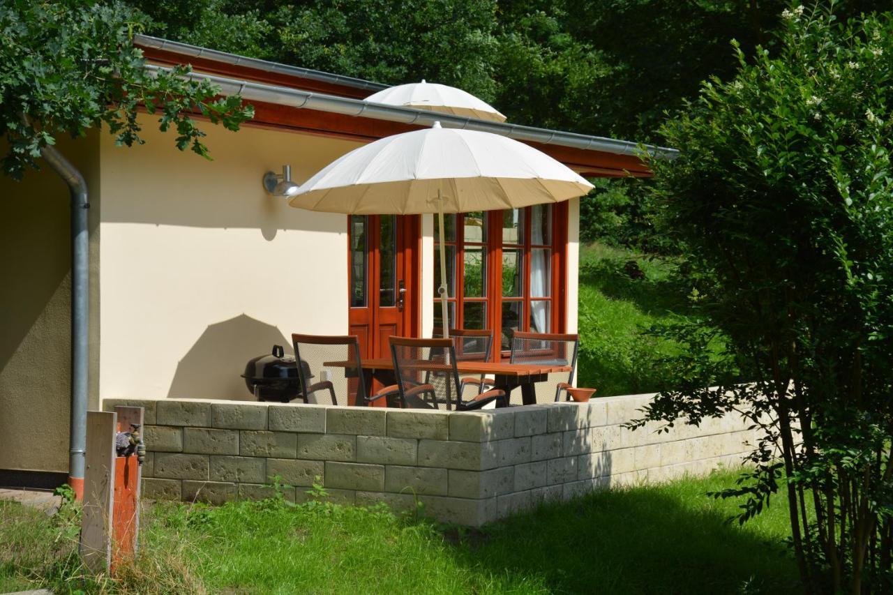 Bungalows Am Waldessaum Bei Hohenzieritz ภายนอก รูปภาพ